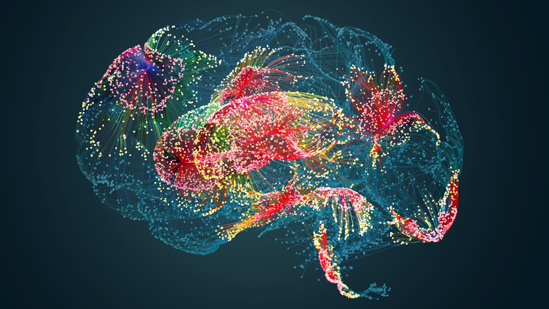 image of a brain scan with different parts of the brain lighting up in red, yellow, and green