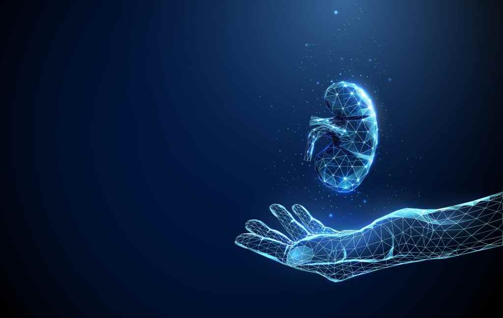 Abstract blue giving hand with human kidney.